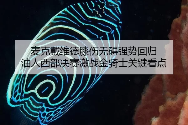 麦克戴维德膝伤无碍强势回归 油人西部决赛激战金骑士关键看点